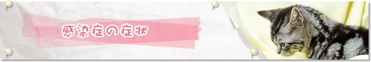 感染症の症状