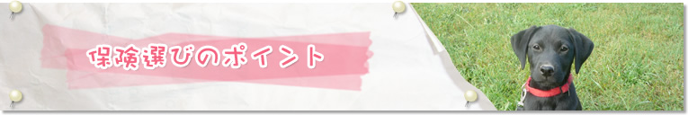 保険選びのポイント