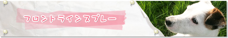 フロントラインスプレー